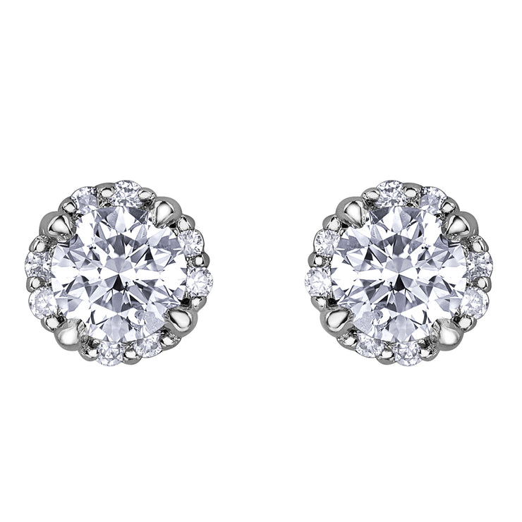 White Gold Canadian Diamond Studs