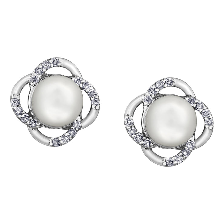 White Gold Pearl Stud Earrings